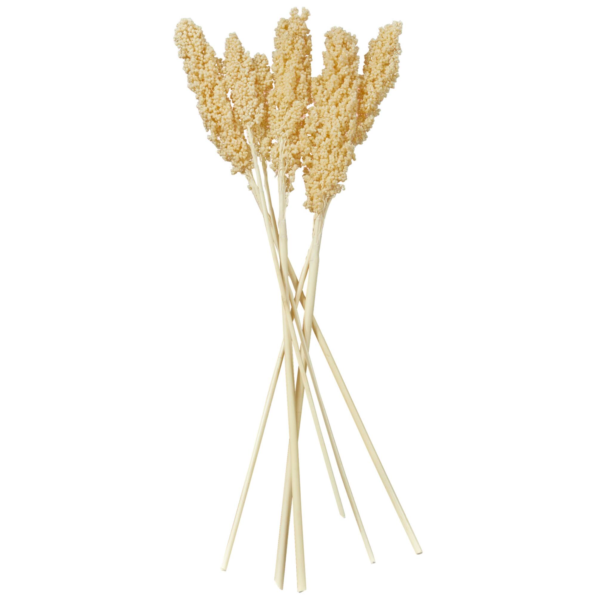 Dried Corn Maize Natural Foliage with Long Stems